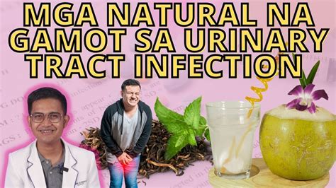 Yakult Gamot Sa UTI (Urinary Tract Infection) .